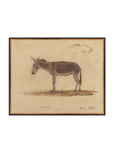 Thumbnail for picture #17