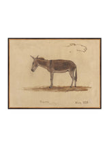 Thumbnail for picture #18