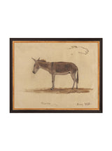 Thumbnail for picture #15