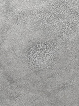 Thumbnail for picture #12