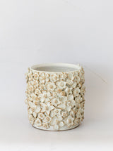 Thumbnail for picture #5