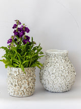 Thumbnail for picture #3