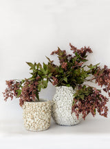 Thumbnail for picture #2