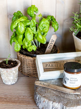 Thumbnail for picture #2