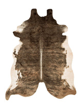 Thumbnail for picture #1