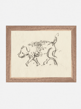 Thumbnail for picture #1