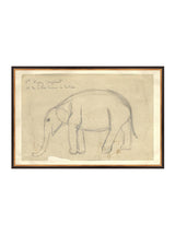 Thumbnail for picture #17