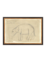 Thumbnail for picture #15