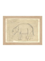 Thumbnail for picture #10