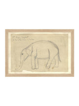 Thumbnail for picture #11