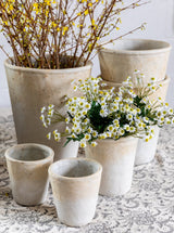 Thumbnail for picture #2