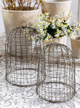 Thumbnail for picture #7