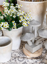 Thumbnail for picture #6