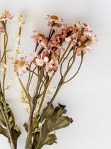 Thumbnail for picture #10