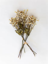 Thumbnail for picture #6