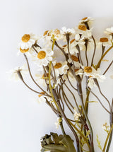 Thumbnail for picture #7