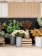 Thumbnail for picture #3