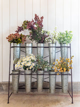 Thumbnail for picture #4