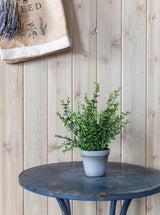 Thumbnail for picture #2