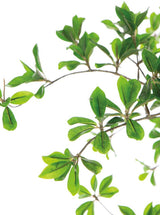 Thumbnail for picture #3