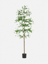 Thumbnail for picture #4