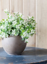 Thumbnail for picture #6