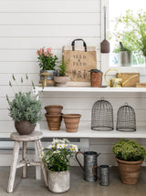 Thumbnail for picture #7