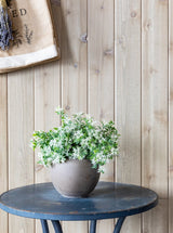 Thumbnail for picture #5