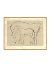 Thumbnail for picture #19