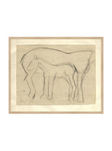 Thumbnail for picture #5