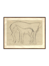 Thumbnail for picture #14