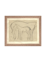 Thumbnail for picture #9