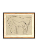 Thumbnail for picture #12