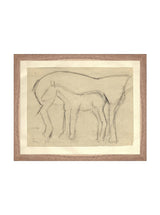 Thumbnail for picture #6