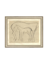 Thumbnail for picture #20