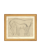 Thumbnail for picture #15