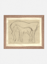 Thumbnail for picture #1