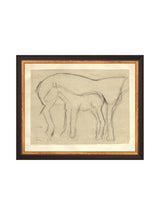 Thumbnail for picture #10