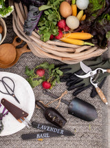 Thumbnail for picture #3