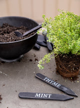 Thumbnail for picture #4