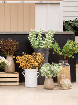 Thumbnail for picture #6