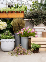 Thumbnail for picture #4