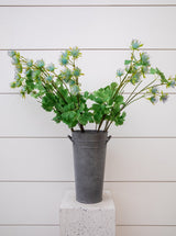 Thumbnail for picture #7