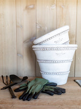 Thumbnail for picture #10