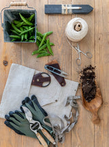 Thumbnail for picture #9