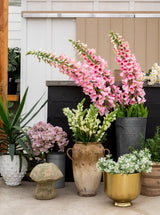 Thumbnail for picture #6