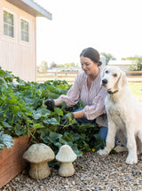 Thumbnail for picture #3