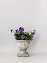 Thumbnail for picture #8