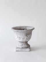 Thumbnail for picture #7