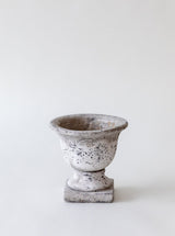 Thumbnail for picture #6